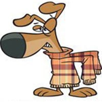 Ρουχα για Σκύλους 🐶