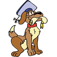 Είδη Εκπαίδευσης Σκύλου & Φιμωτρα 🐶