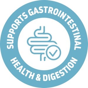 supports gastrointestinal