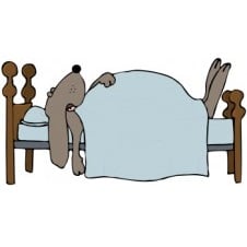 Κρεβάτια για Σκύλους | Shop4pets