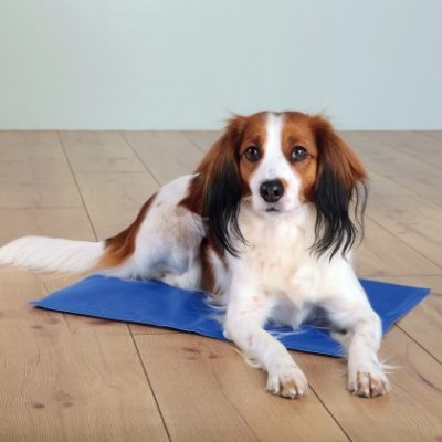 Trixie cooling mat δροσερο στρωμα σκυλων