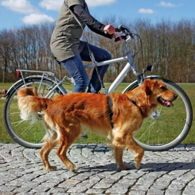 Trixie λουρι για σκυλους οδηγος για ποδηλατο τζοκινγκ