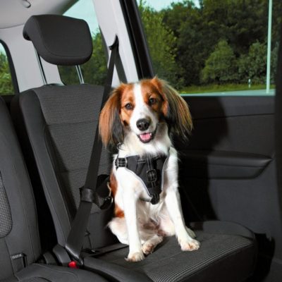 trixie σαμαρακι σκυλου ζωνη ασφαλειας αυτοκινητου για προστασια