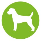 canvit green dog - CANVIT PROBIO 100gr