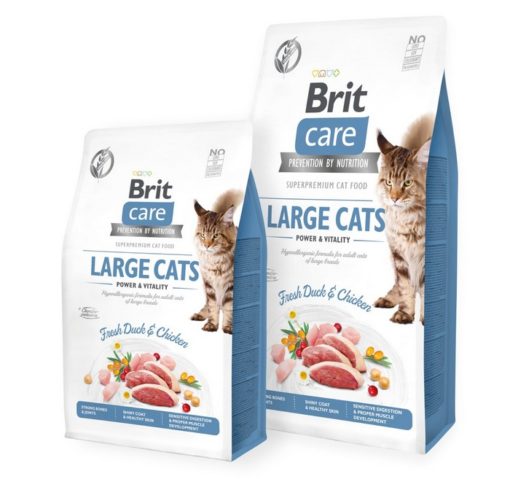 Brit Care Large Cat τροφη για μεγαλη γατα Grain Free