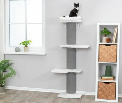 Trixie Acadia - φωλια ονυχοδρομιο τοιχου