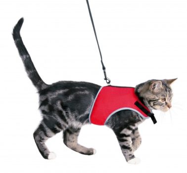trixie soft σαμαρακι για γατες με οδηγο
