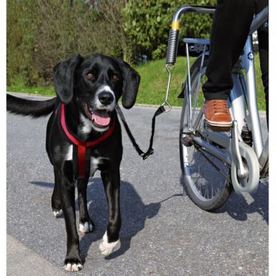 trixie σετ για προσδεση σκυλου για βολτα με ποδηλατο
