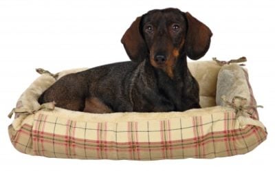 Trixie Relax κρεβατι και στρωμα σκυλων