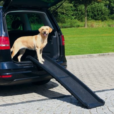 trixie πλαστικη αυτοκινητου ραμπα για σκυλους & για κρεβατι καναπε της Trixie