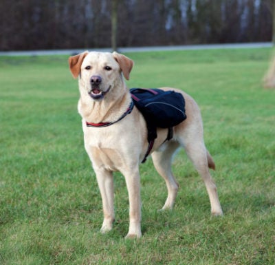 Σαμαρακι με τσαντα πλατης σκυλου Trixie Neoprene Backup 