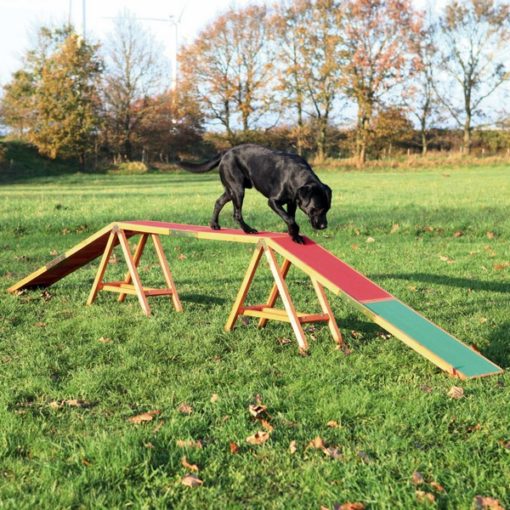 trixie agility dogwalk ραμπα εκπαιδευση σκυλων