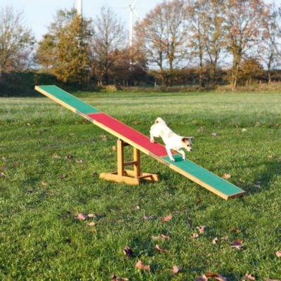trixie agility seesaw τραμπαλα εκπαιδευσης σκυλου