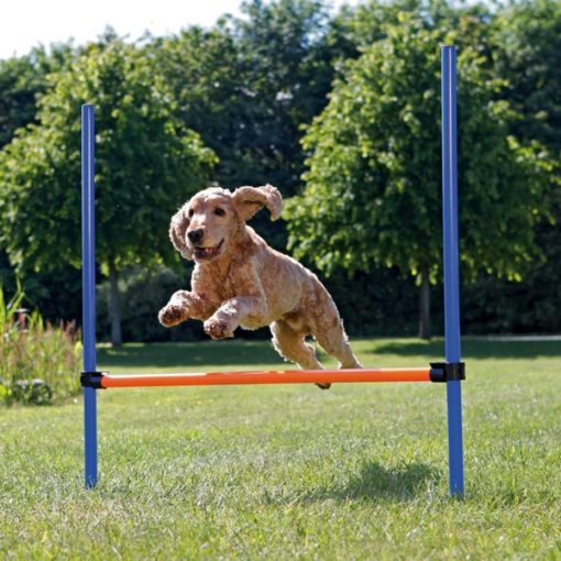 trixie agility hurdle εμποδιο για εκπαιδευση σκυλου