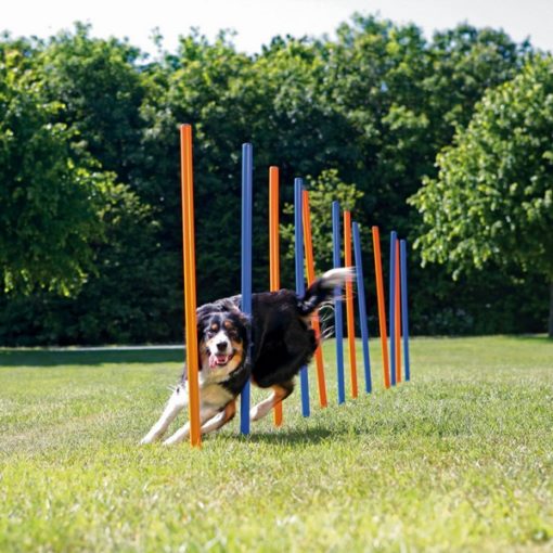 Trixie agility slalom σλαλομ εκπαιδευσης σκυλου