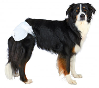 Trixie Diapers πανες βρακακια υγιεινης για περιοδο θηλυκων σκυλων