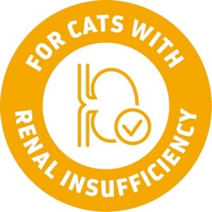 cats with renal insufficient