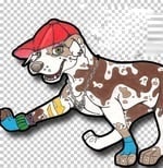 Σκαλοπάτια Σκύλου Παπούτσια 🐶