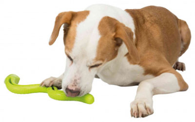 Trixie Snake παιχνιδια σκυλου φιδι με σνακ