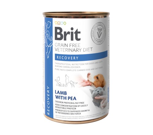 Brit Recovery VD κλινικη γατας κονσερβα σκυλου τροφη