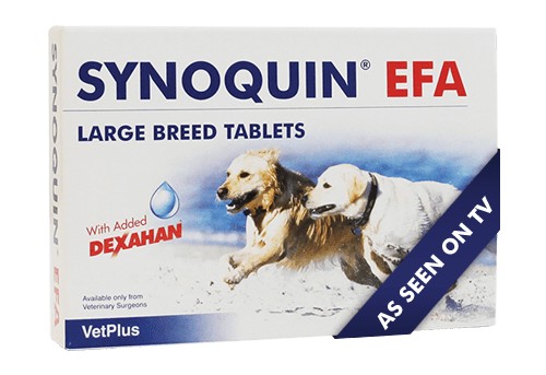Synoquin συμπληρωμα διατροφης σκυλου βιταμινες για σκυλους αρθρωσεις & ηλικιωμενους σκυλους