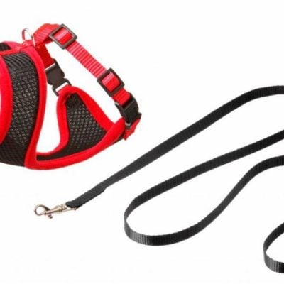 Τα Karlie επιστηθια σαμαρακια για γατες