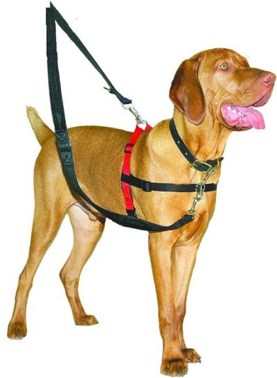 Halti Front Control εκπαιδευτικο σαμαρακι για σκυλους που τραβουν
