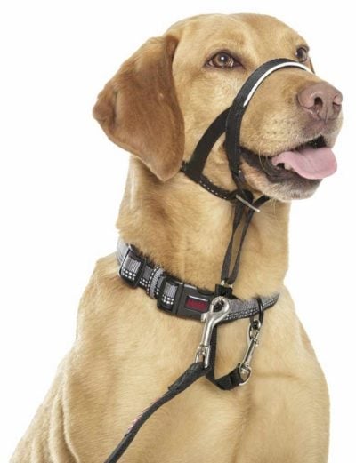 Halti Headcollar εκπαιδευτικο κολαρο κεφαλιου σκυλου