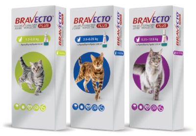 Bravecto Plus αμπουλα γατας πιπετα εξω - ενδο αντιπαρασιτικο για 3 μηνες