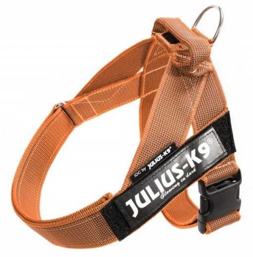 Julius K9 IDC Color & Gray Belt harness επιστηθιο για σκυλους σαμαρακι