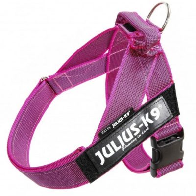 Julius K9 επιστηθιο IDC Color & Gray Belt harness για σκυλο σαμαρακι