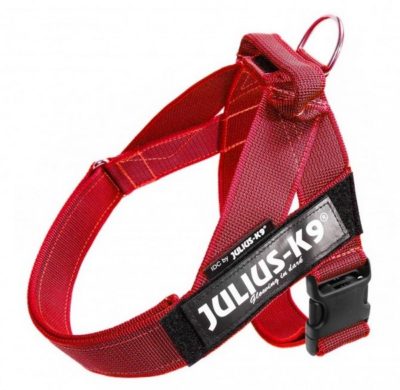 Julius K9 IDC Color & Gray Belt harness επιστηθιο σκυλου σαμαρακι