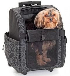 Τρολεϊ Μεταφοράς Σκύλου 🐶