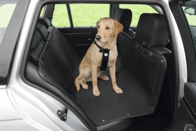 Το Nobby ποιοτικο καλυμμα καθισματος αυτοκινητου σκυλου πισω θεσεων