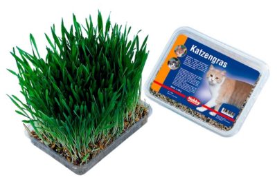 Nobby Grass γρασιδι γατας για τριχομπαλες