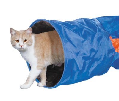 Nobby Tunnel παιχνιδι γατας τουνελ