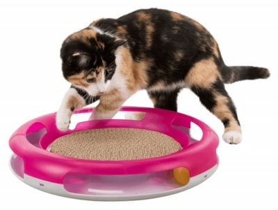 Το Trixie παιχνιδι γατας με ονυχοδρομιο