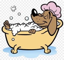 Φαρμακευτικά Σαμπουάν Σκύλου για Κνησμό & Δερματικά 🐶