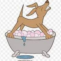 Σαμπουάν Σκύλων 🐶