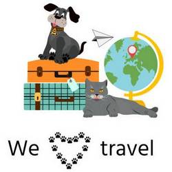 Τσάντα Μεταφοράς Σκύλων με Αεροπλάνο