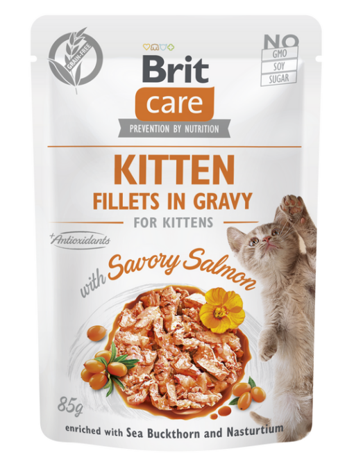 Brit care kitten υγρη τροφη με σολωμο