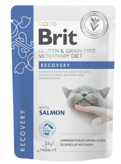 Brit VD Recovery φακελακι γατας αναρρωσης