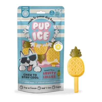 Imagineless Pup Ice παγωτό σκύλου με γεύση ανανά