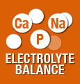 elecrtolyte balance