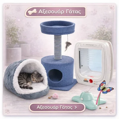 αξεσουάρ γάτας - on line pet shop θεσσαλονίκη shop4pets