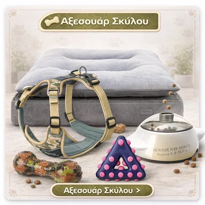 αξεσουάρ σκύλου on line pet shop θεσσαλονίκη shop4pets