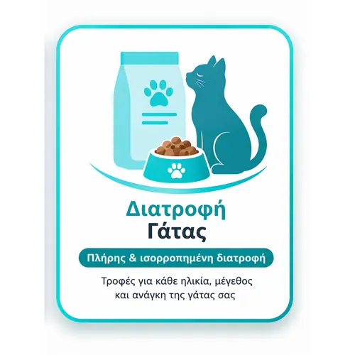 διατροφή γάτας