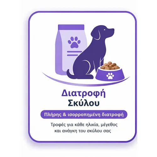 διατροφή σκύλου