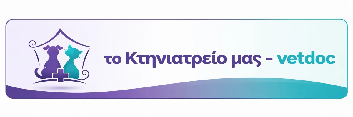 κτηνιατρείο θεσσαλονίκη vetdoc