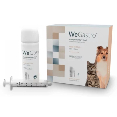 WeGastro Oral 60ml Wepharm Δυσανεξία - Γαστρεντερικό σκύλου γάτας